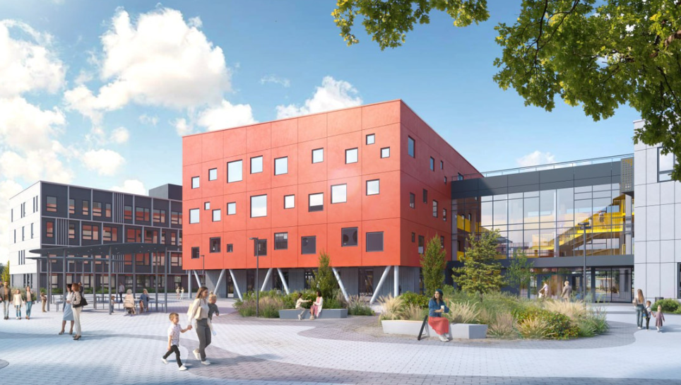 новая школа в новой боровой